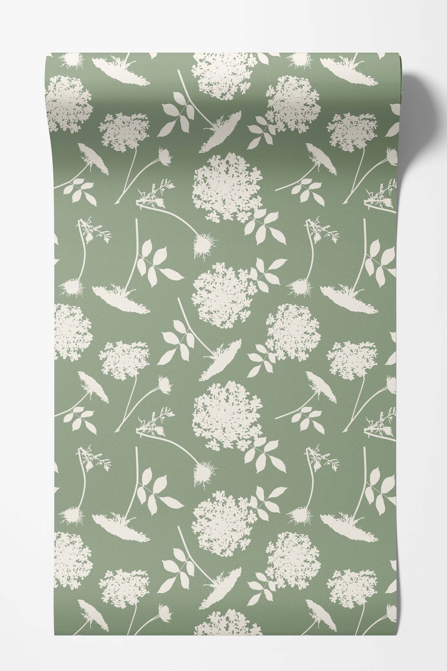 Queen Anne's Lace Floral Wallpaper – Soft Blue or Sage